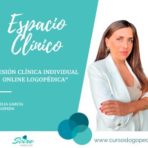 Sesión Clínica Individual Online Logopédica | Noelia García